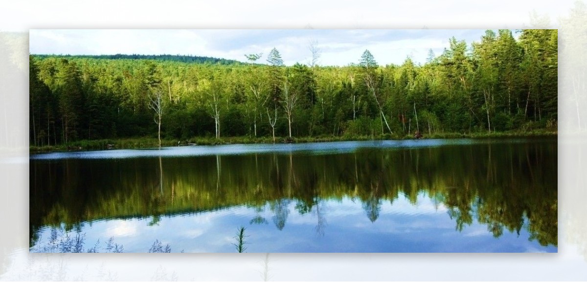 森林公园平静的湖面图片