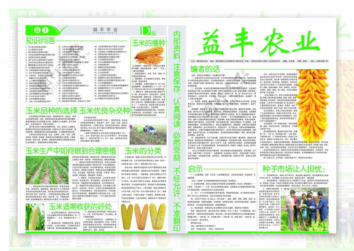 农业玉米报纸模板图片