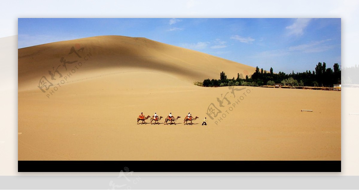 沙漠之舟摄影图JPG图片