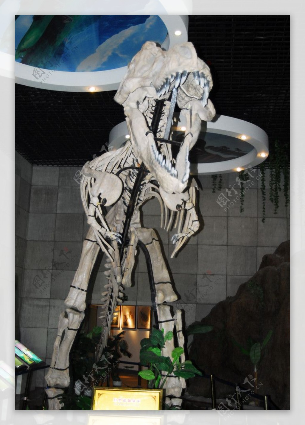 广东恐龙之乡，馆藏恐龙蛋化石数量已超18000枚，居全球之冠|恐龙博物馆|恐龙蛋|化石_新浪新闻
