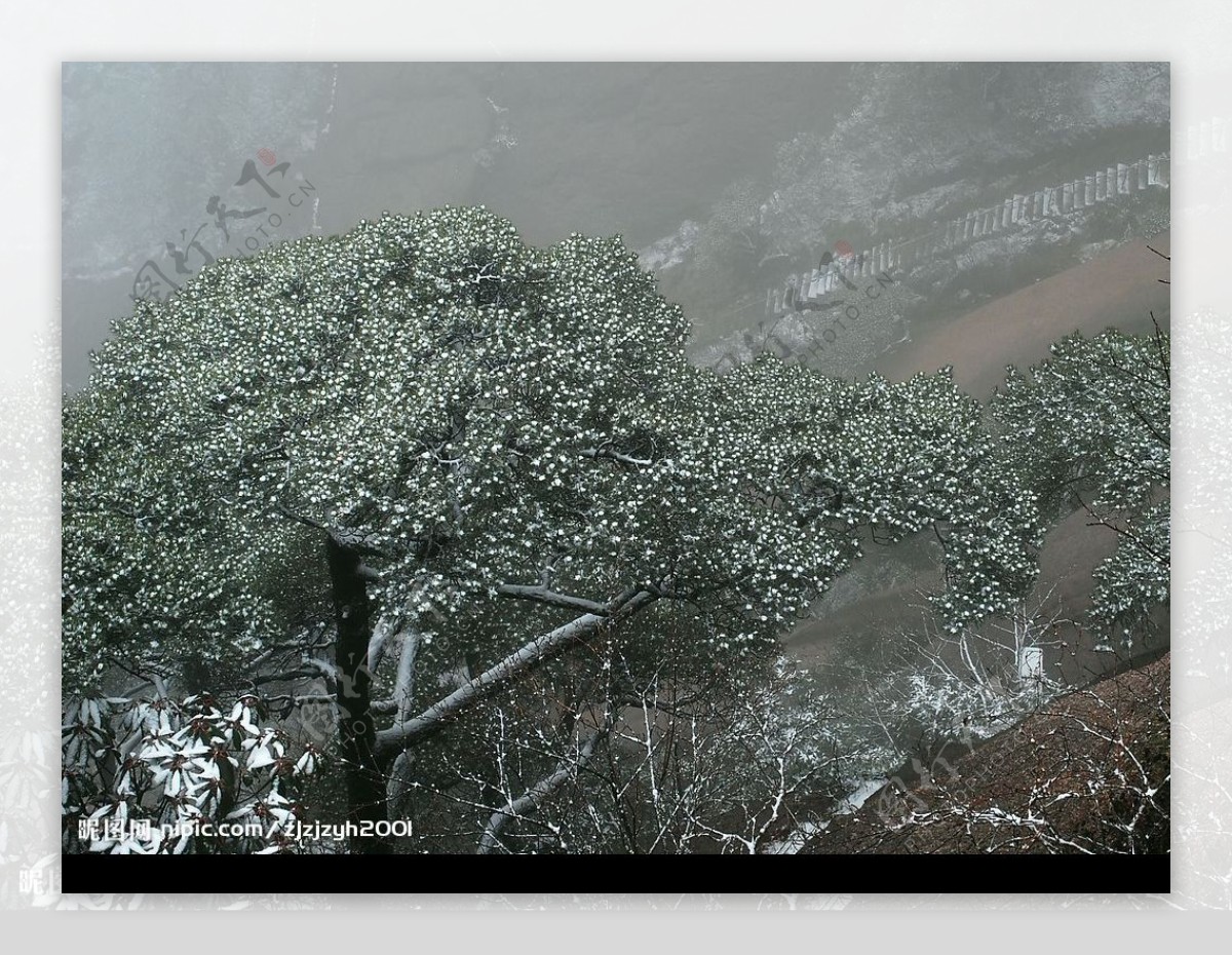 雪景图片