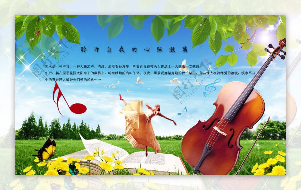 大提琴封面图片