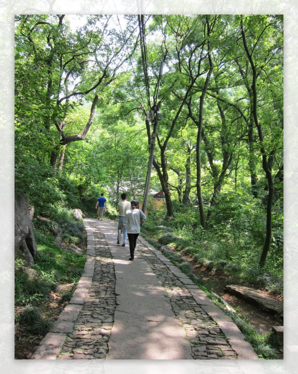 杭州玉皇山步道图片