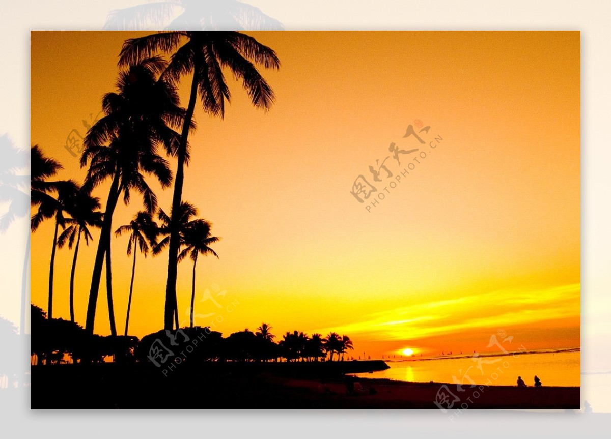 热带夕阳图片