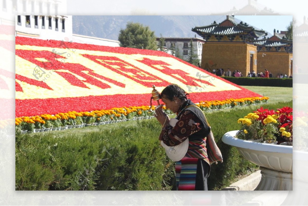 西藏阿婆图片