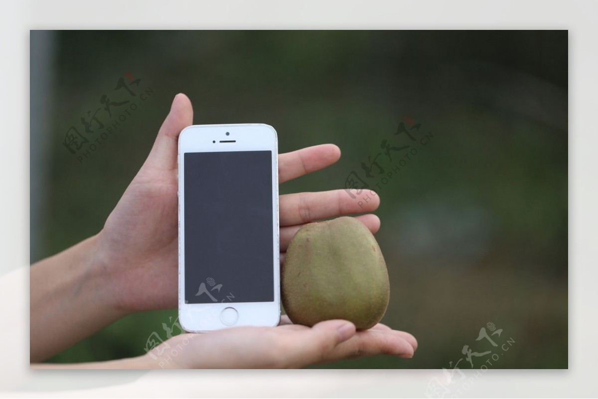 红心猕猴桃摄影苹果5S对比图片