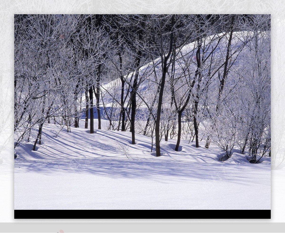 精品底纹素材冬天雪景图片