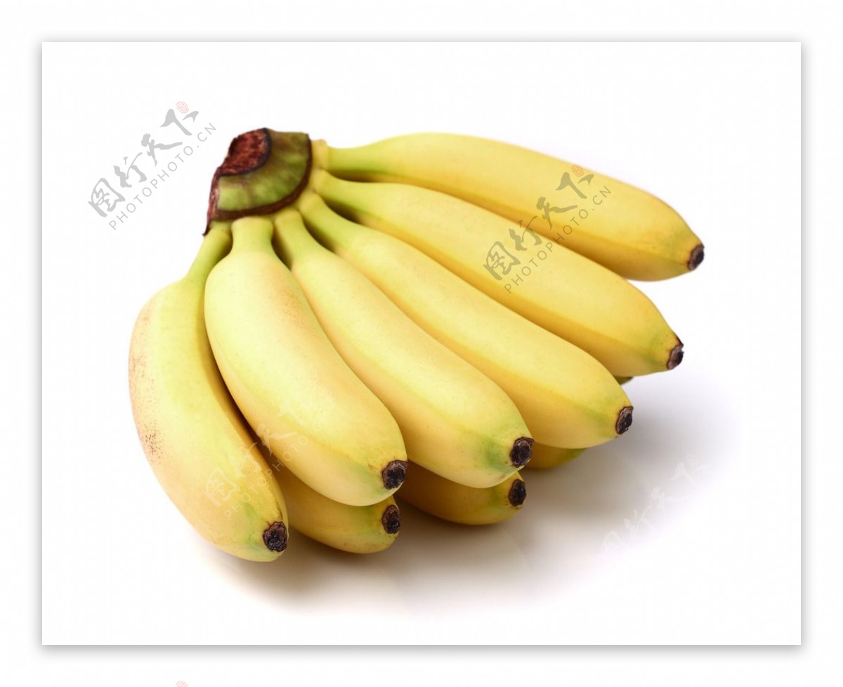 小米蕉图片