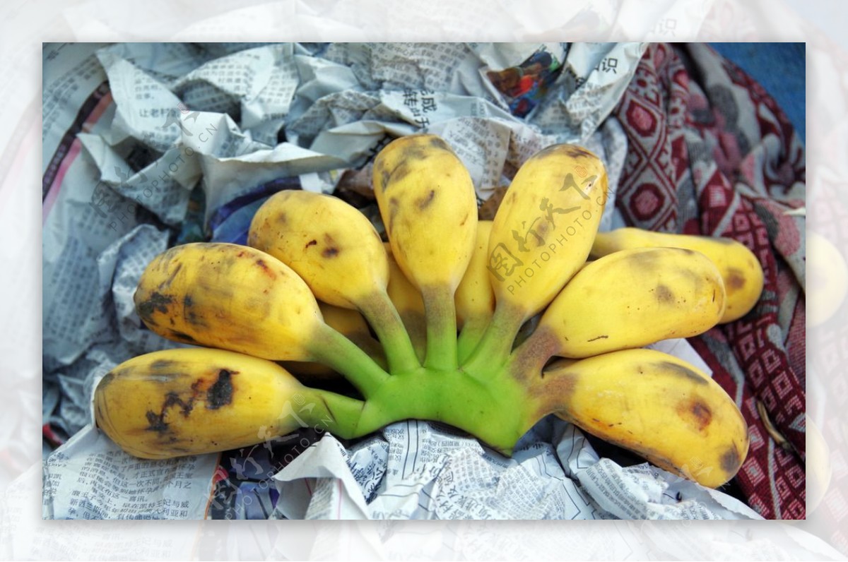 香蕉水果桌面图片
