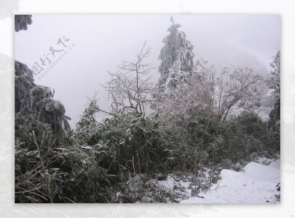 雪景图片