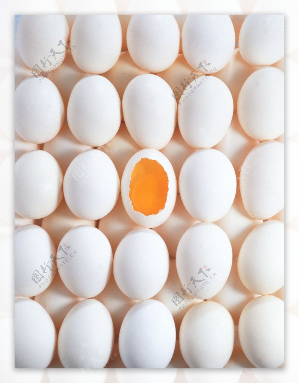 蛋蛋壳鸭蛋蛋黄模型图片照片素材图库
