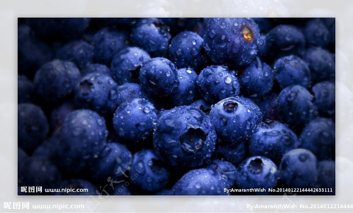 蓝莓摄影图片
