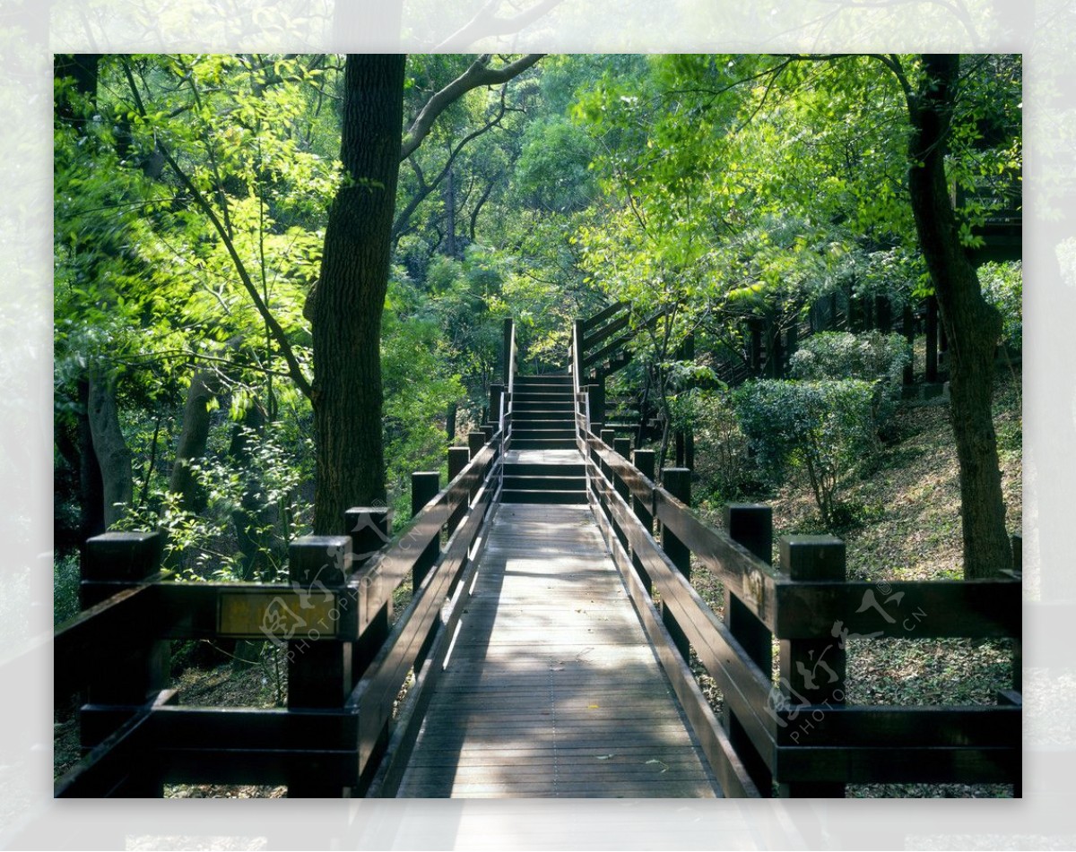 山水风景风景名胜建筑景观自然风景旅游印记台北公园一角图片