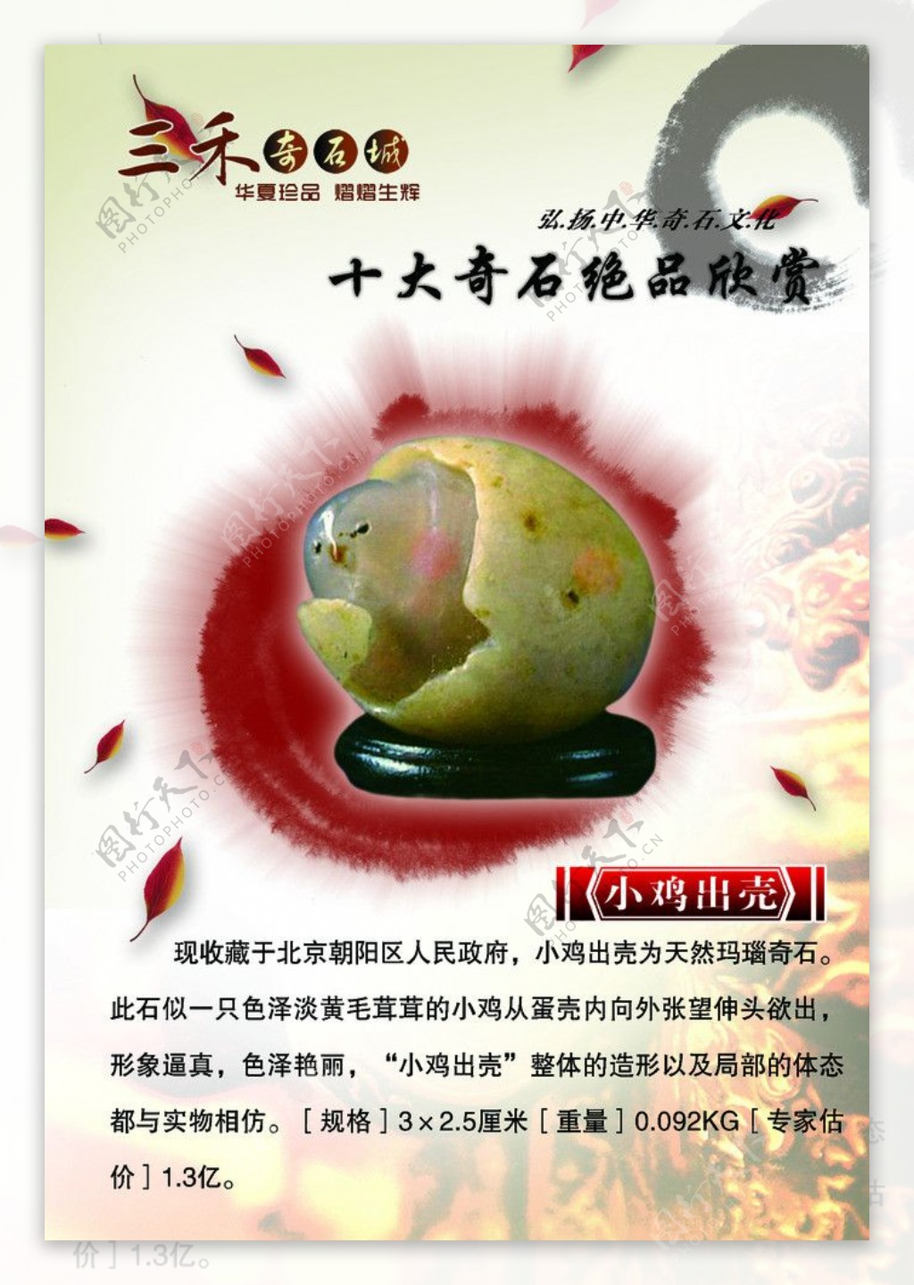 奇石文化宣传小鸡出壳图片
