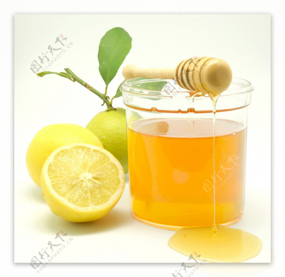 柠檬蜂蜜水 | Tender Latte