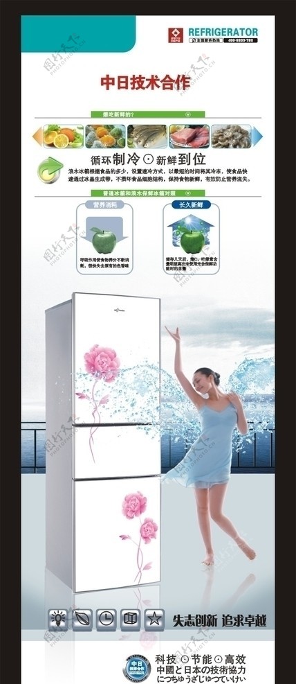 浪木冰箱X展架图片