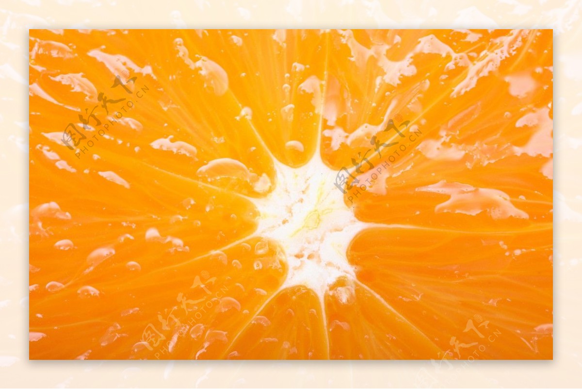 鲜橙子图片
