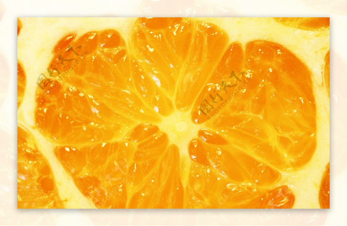 橙子截面微拍图片