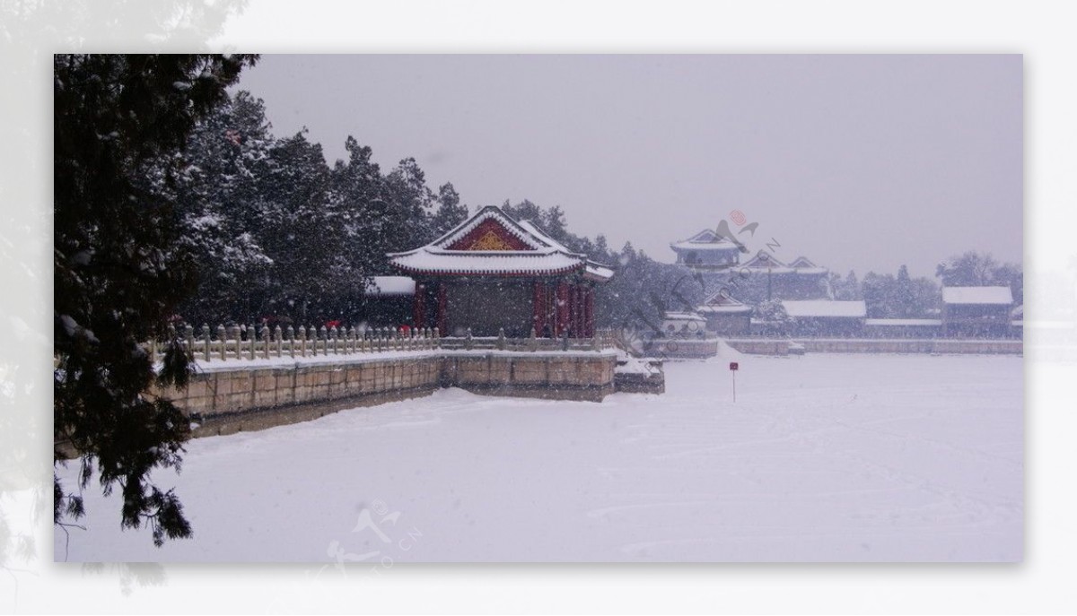 飘雪图片