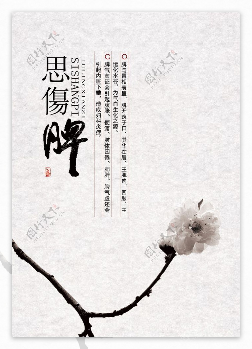 中式传统养生海报图片