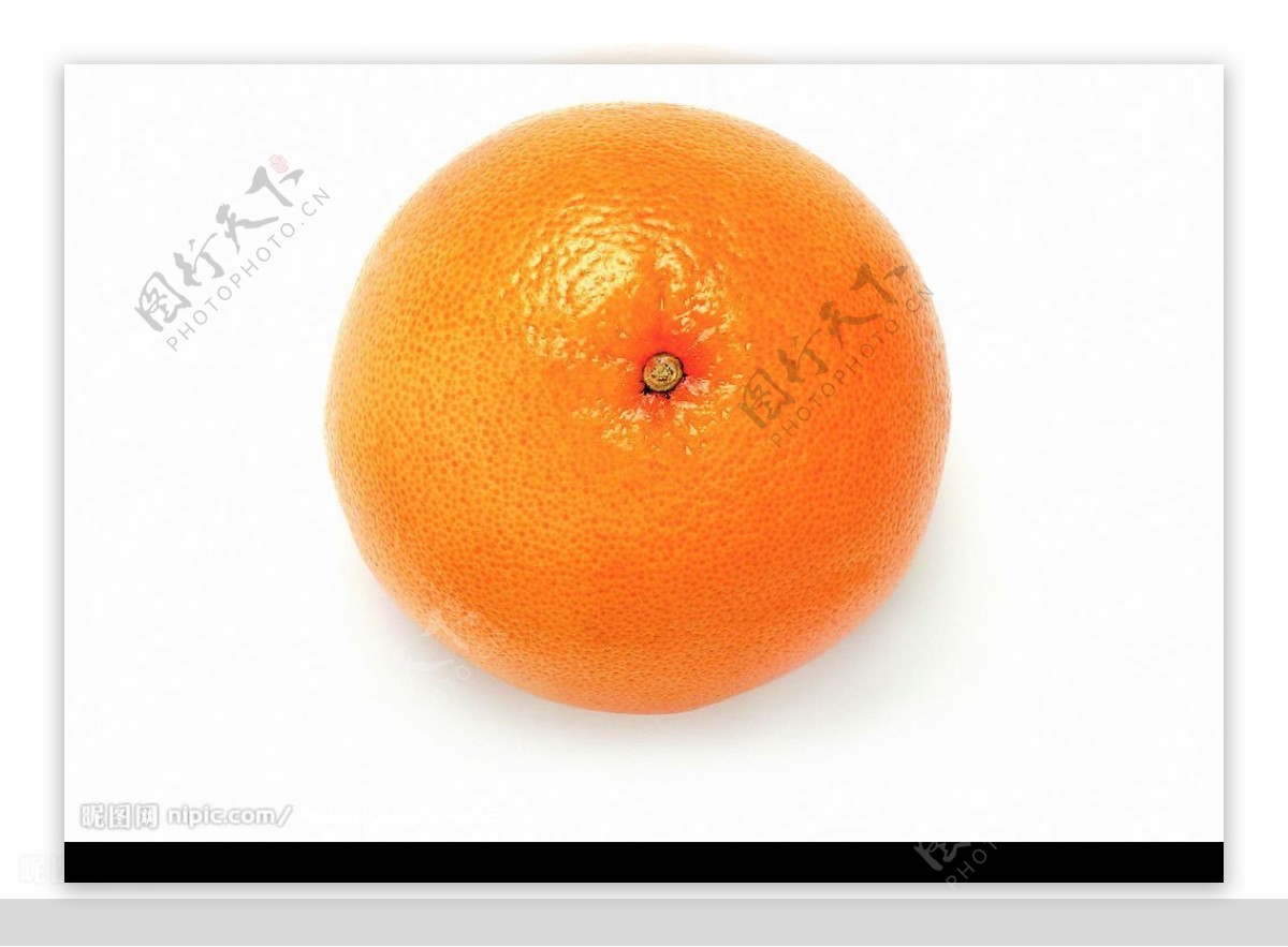 柳橙图片