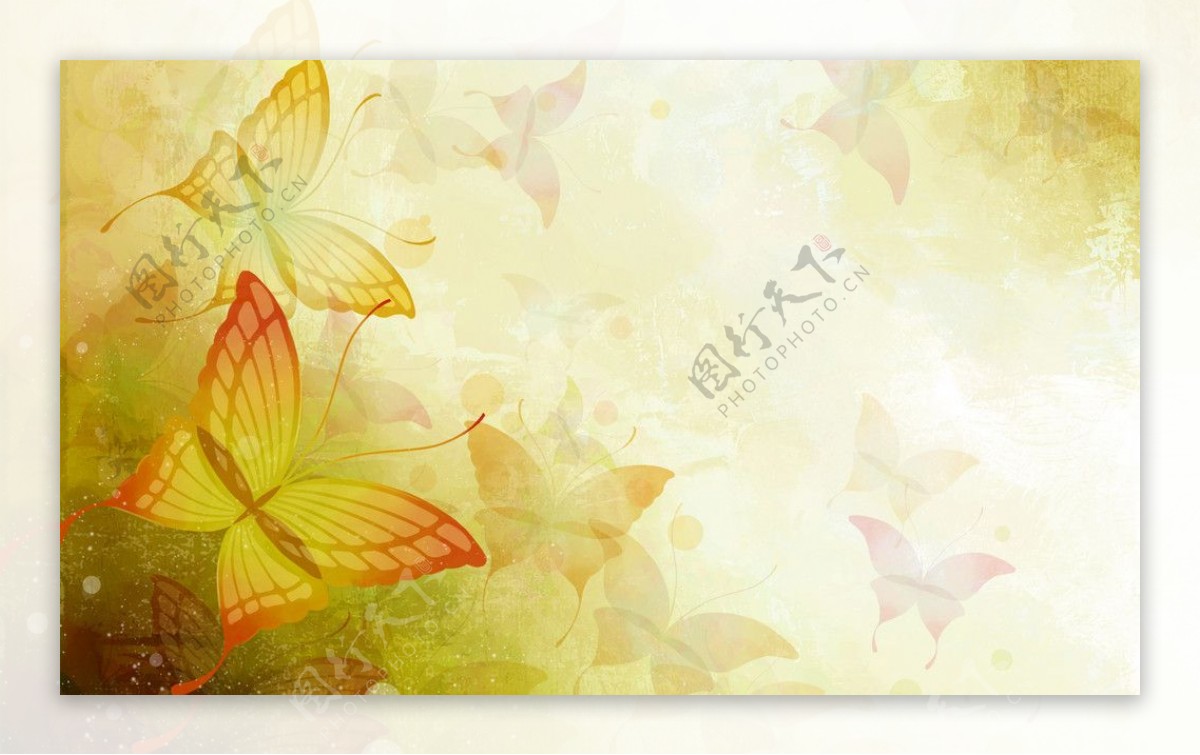 蝴蝶花瓣花朵梦幻可爱植物背景图片