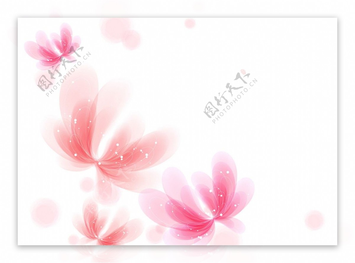 粉红花瓣溶图图片