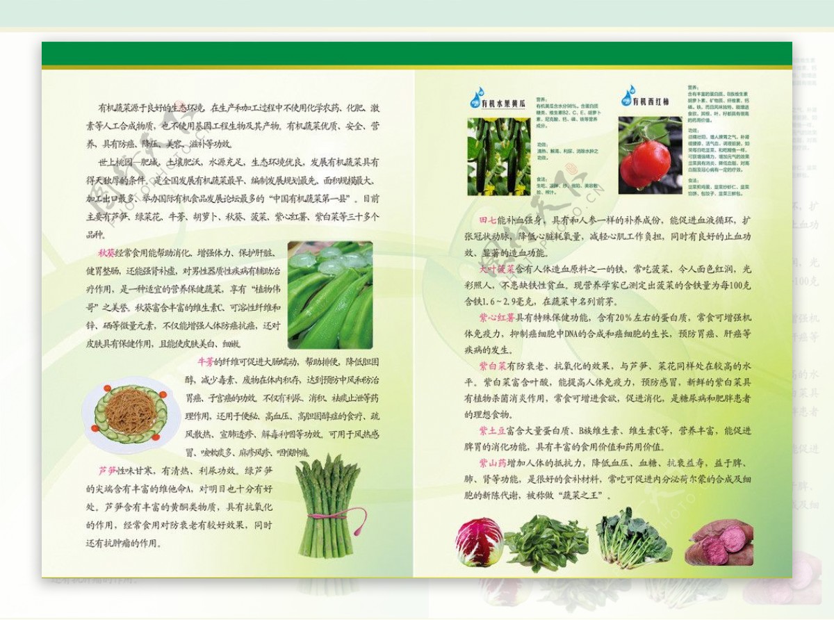 有机蔬菜折页图片