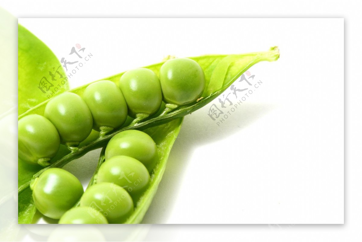 绿豆子图片