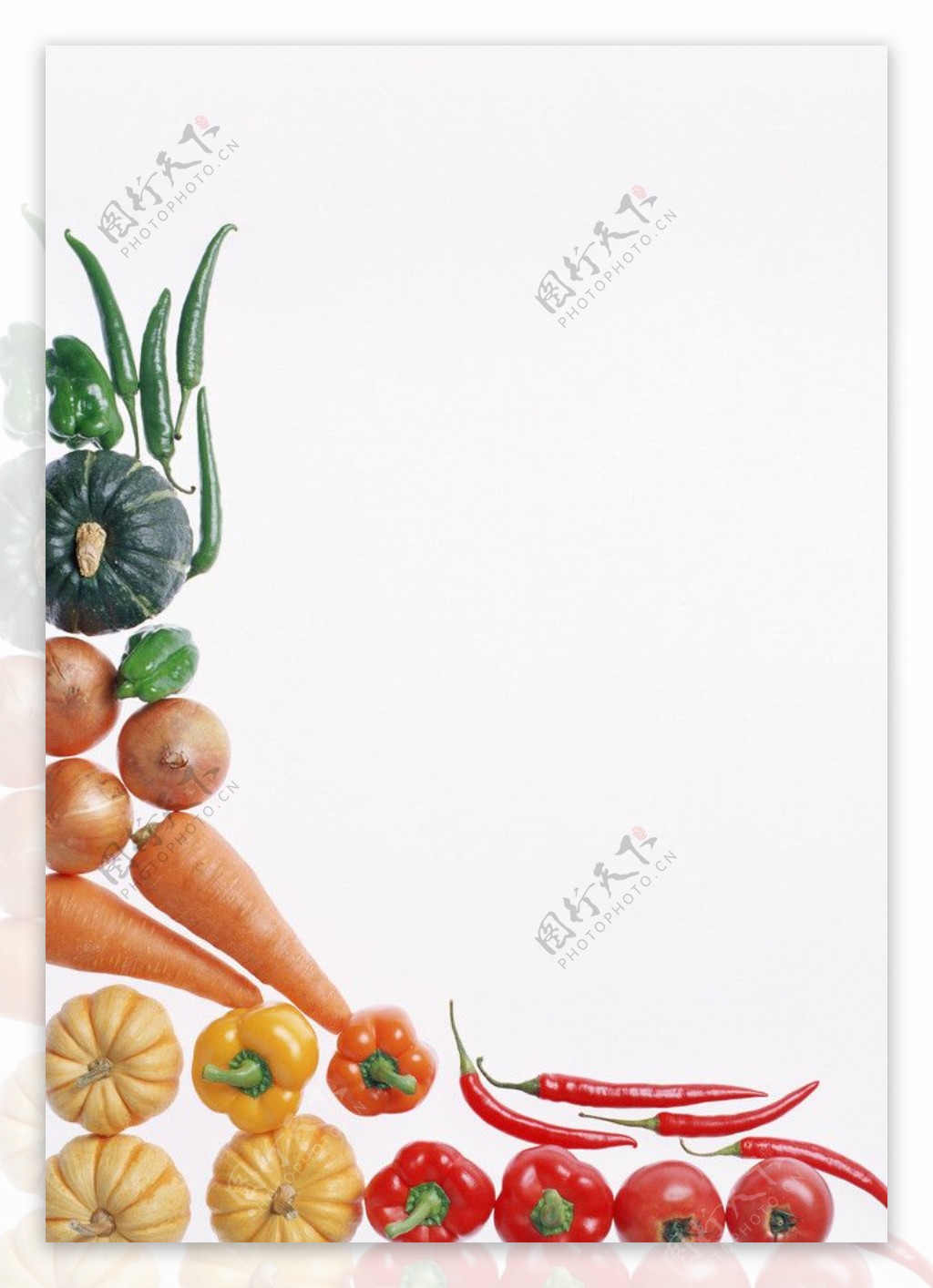 纯背景的艺术蔬菜图片