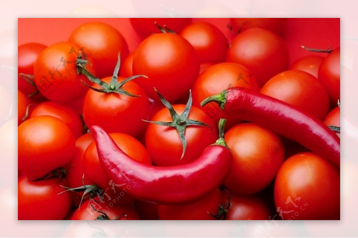 西红柿和辣椒图片