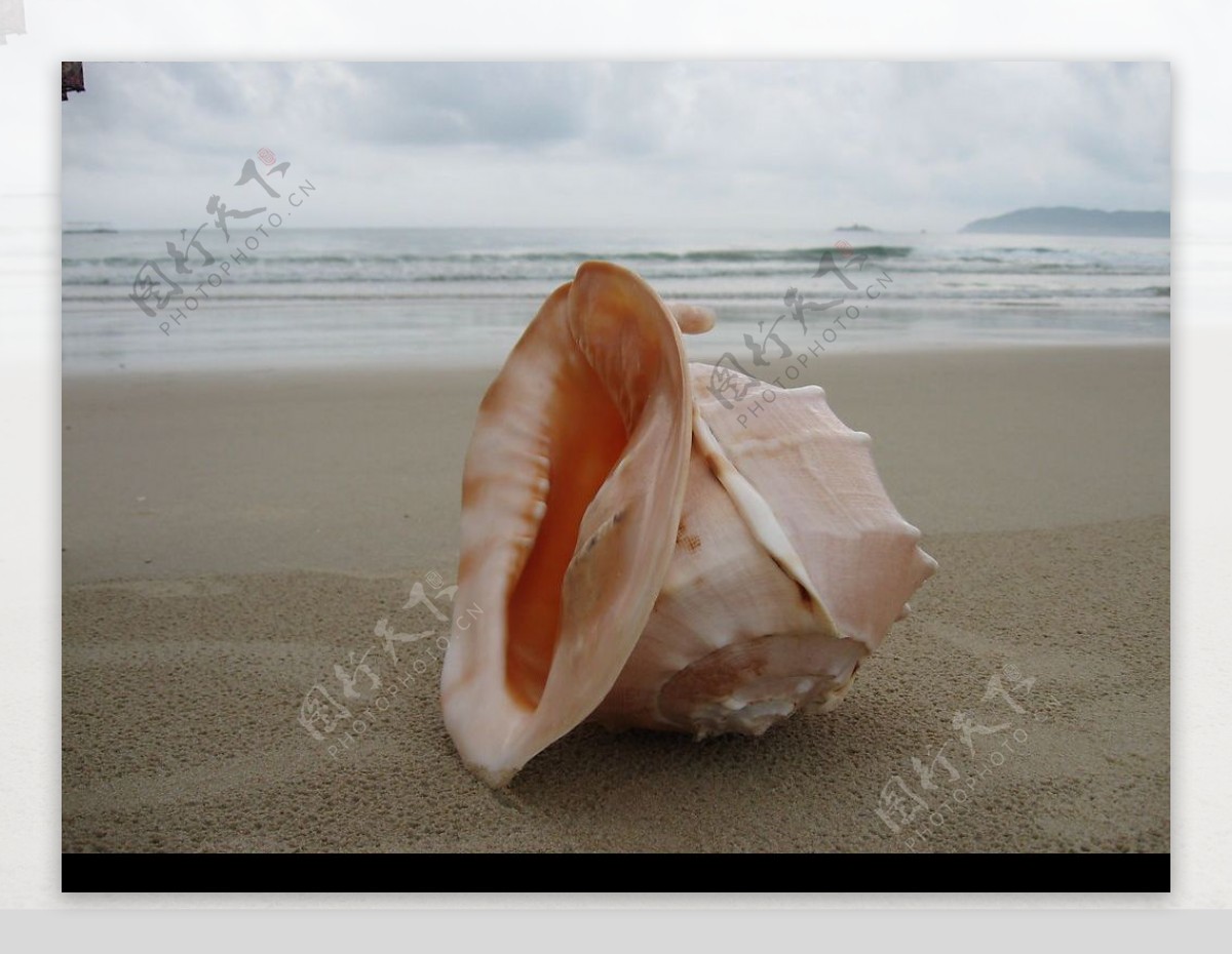 【贝壳摄影图片】家生态摄影_liwei5039_太平洋电脑网摄影部落