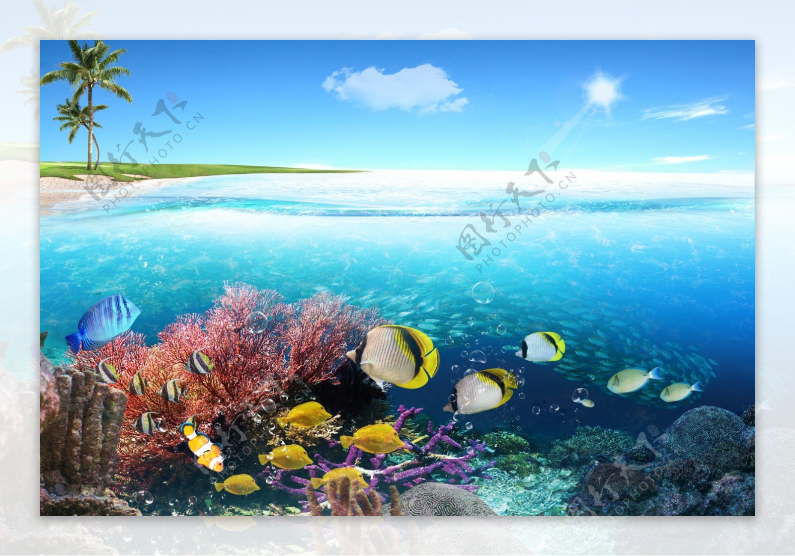 海洋保护环境图片