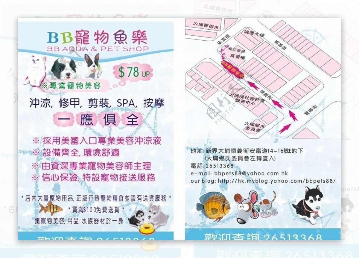 宠物传单设计香港图片