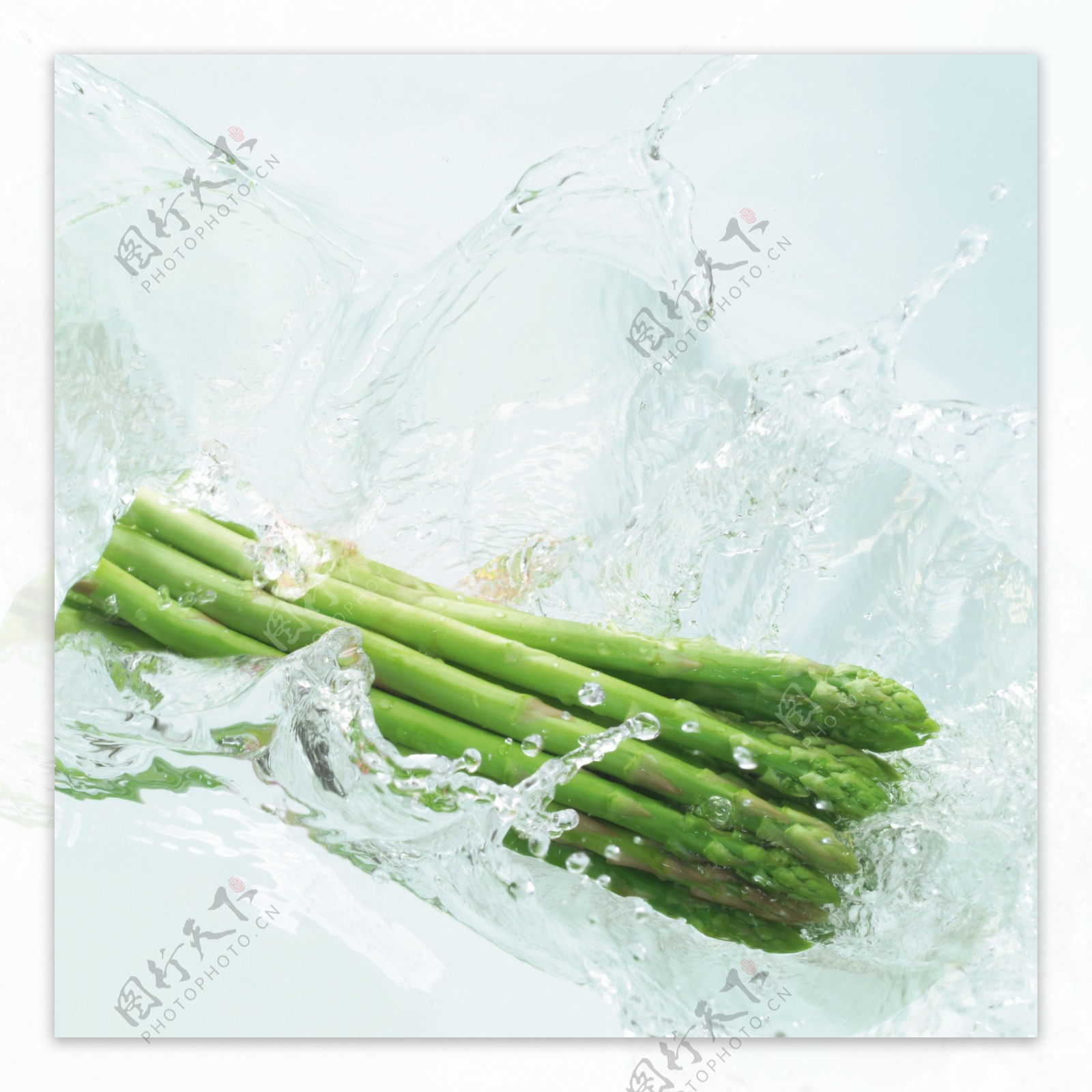 动感蔬菜001图片