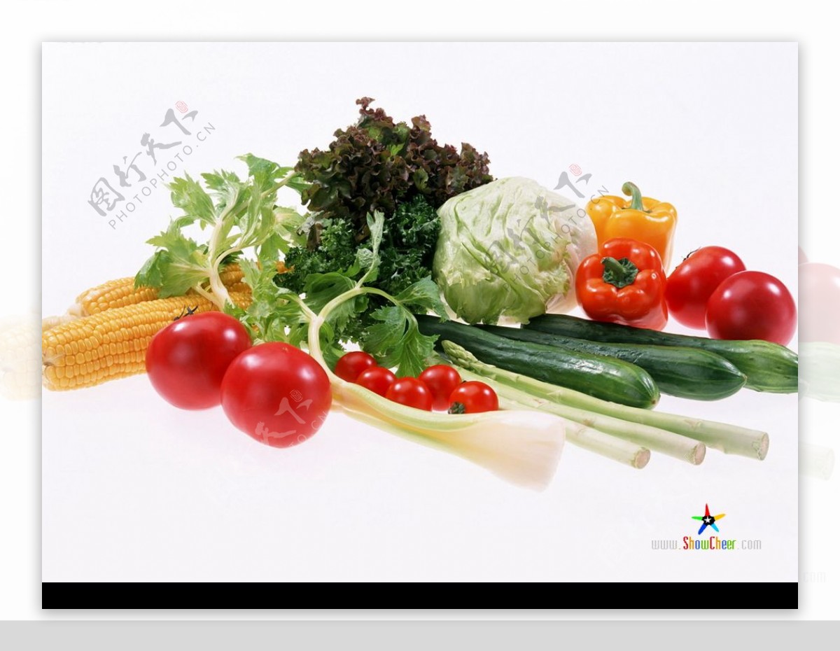 蔬菜1图片