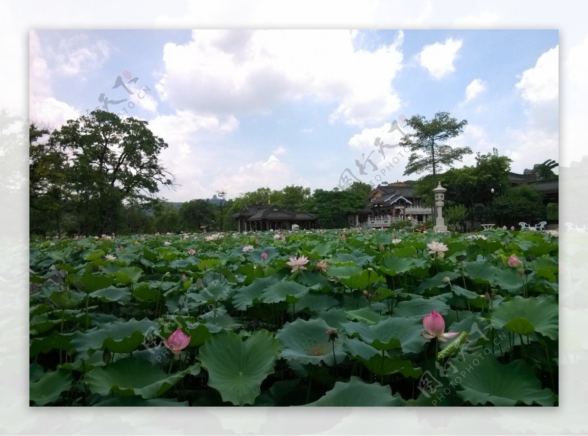 惠州西湖风景图片