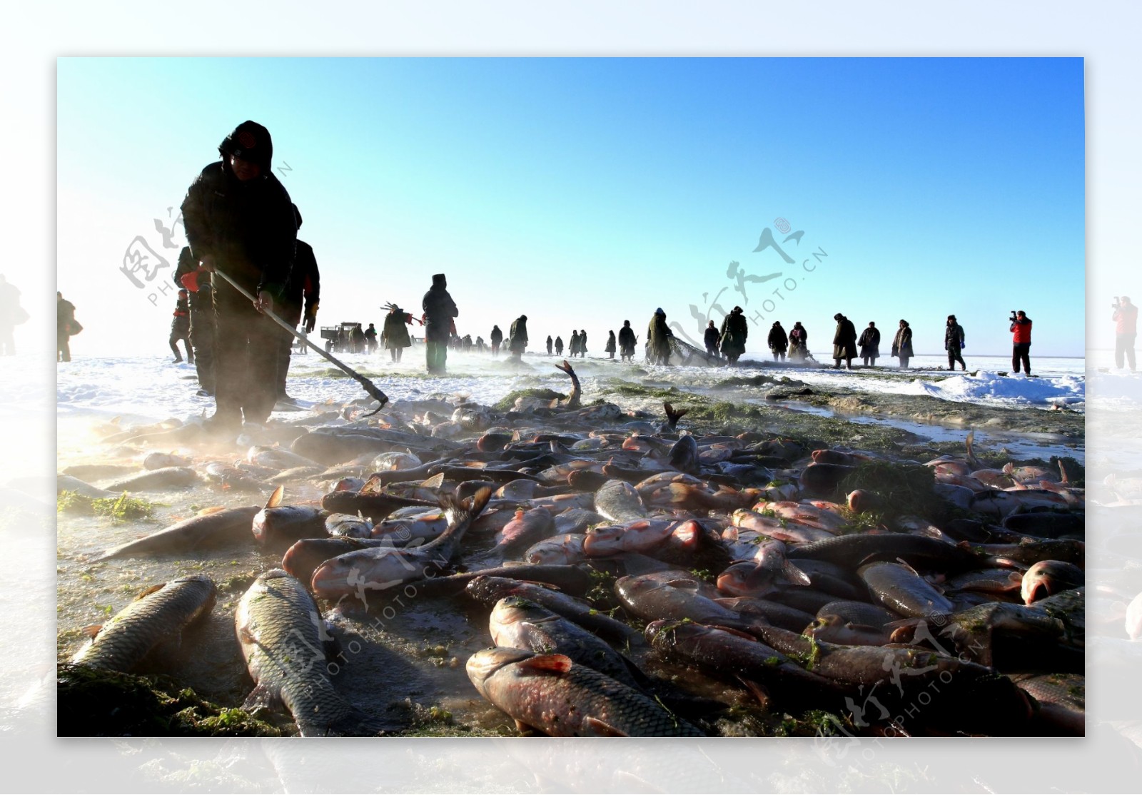 内蒙古达里湖冬捕旅游季开幕|内蒙古|赤峰市|冬捕_新浪新闻