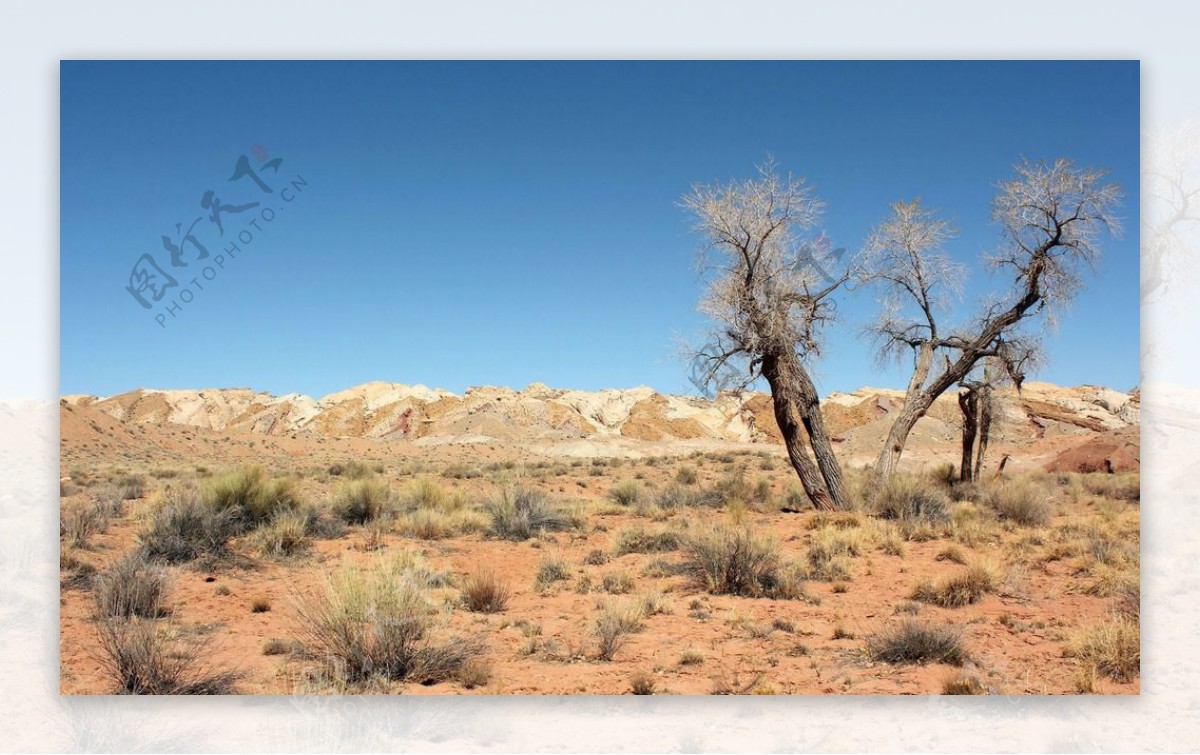 干旱大地沙漠自然风景图片