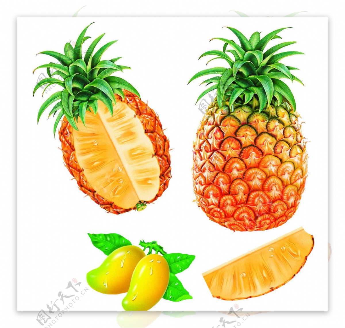 芒果菠萝图片
