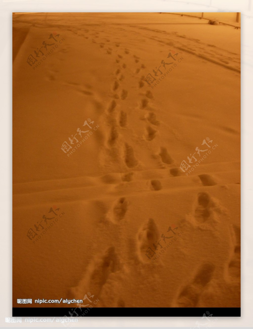 乌市的夜雪图片