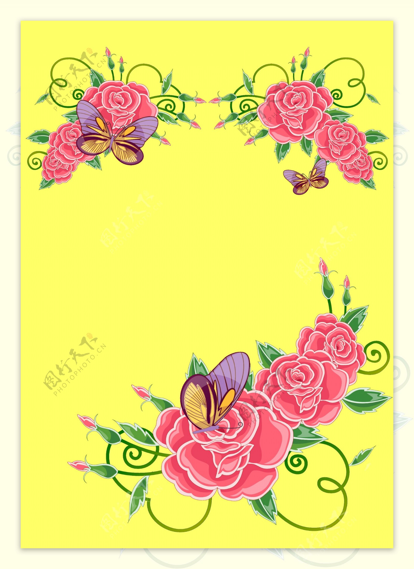 玫瑰月季蝴蝶背景图片