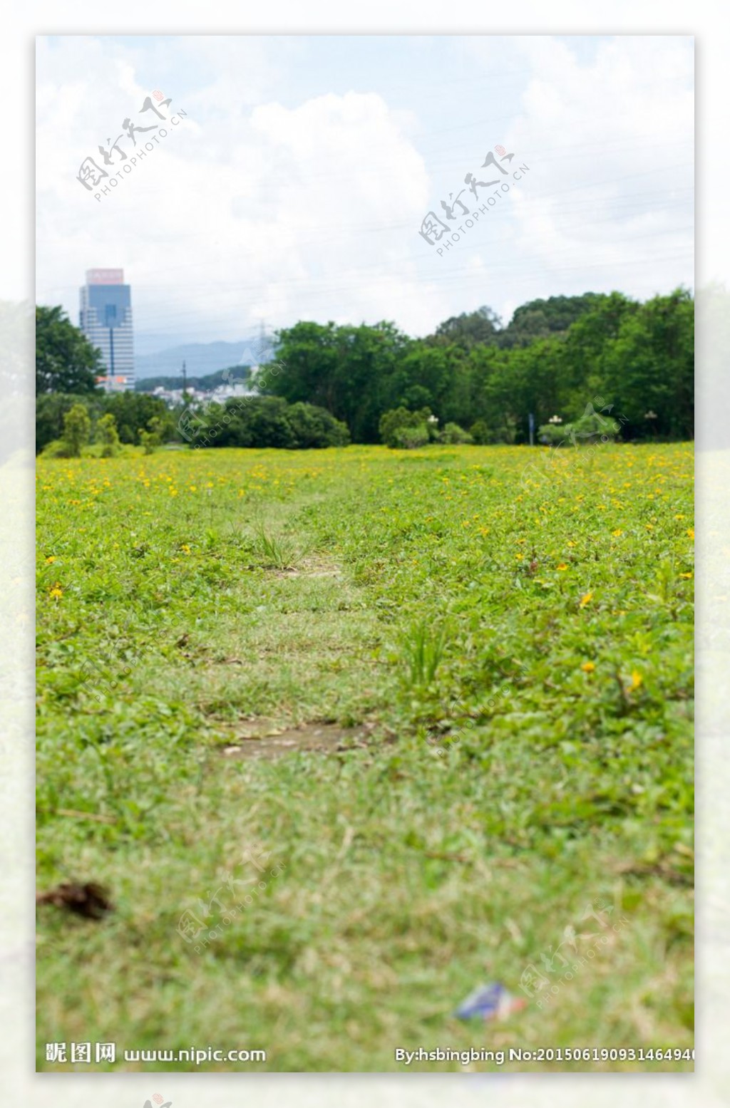 草坪小路图片