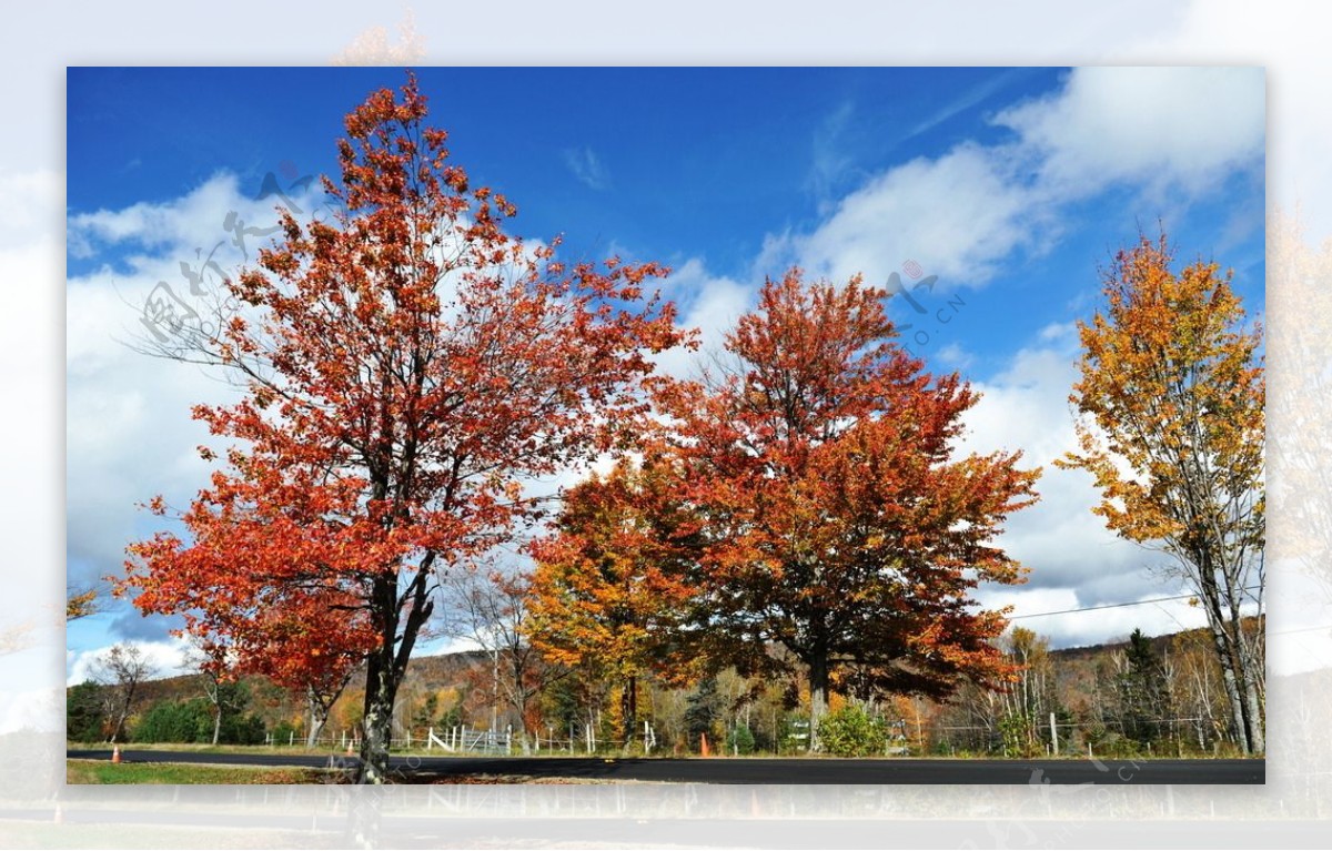 美国佛蒙特州秋景图片