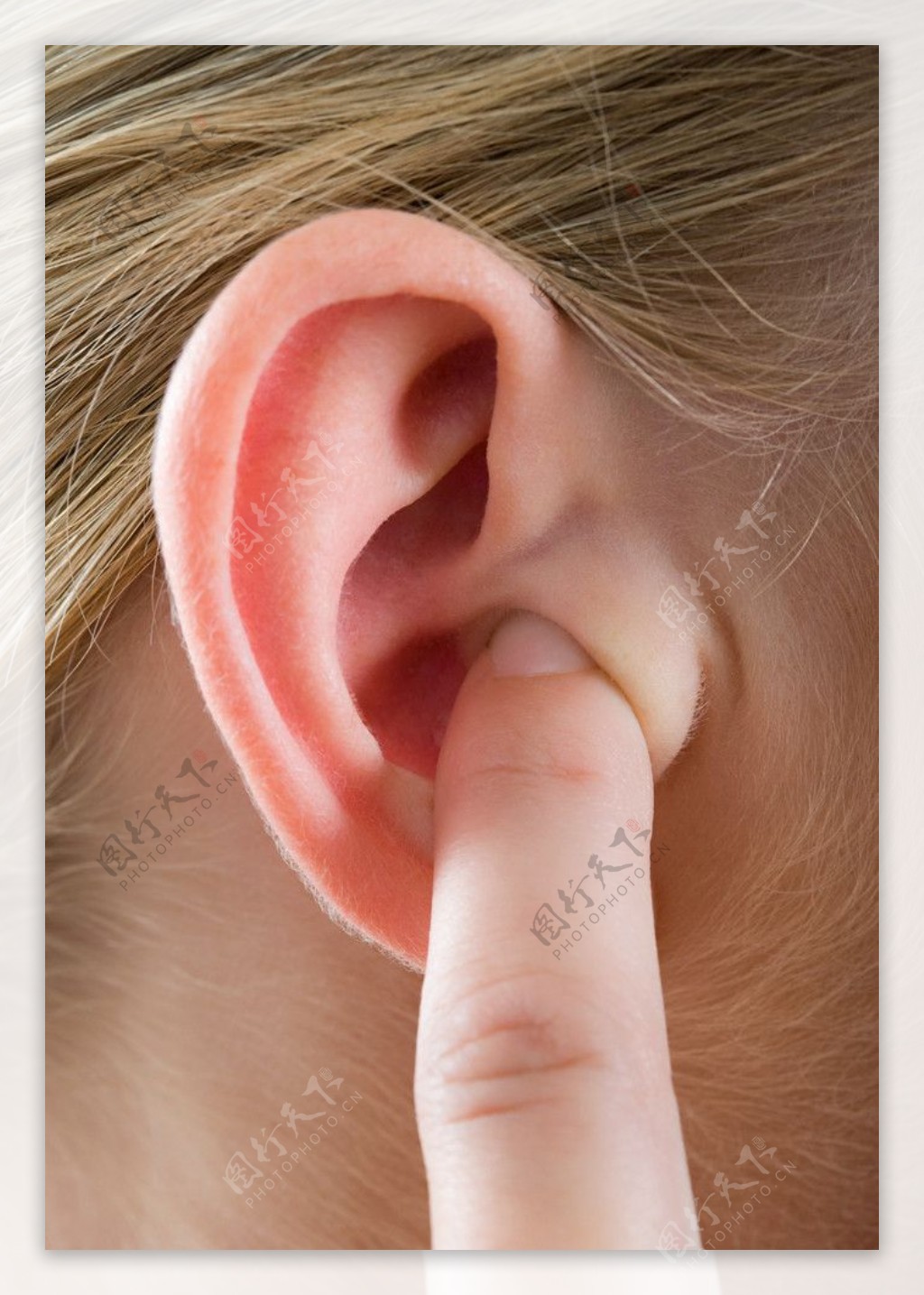 女性耳朵图片