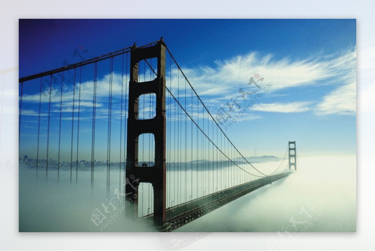云雾中的大桥图片