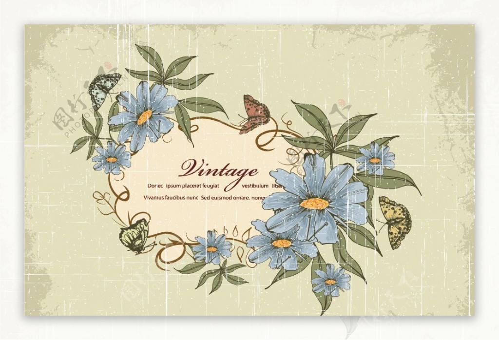古典花纹花朵边框蝴蝶图片