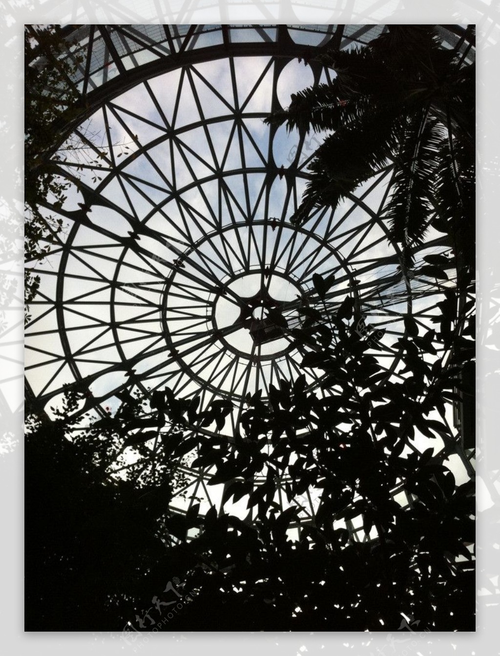 台湾台中植物园图片