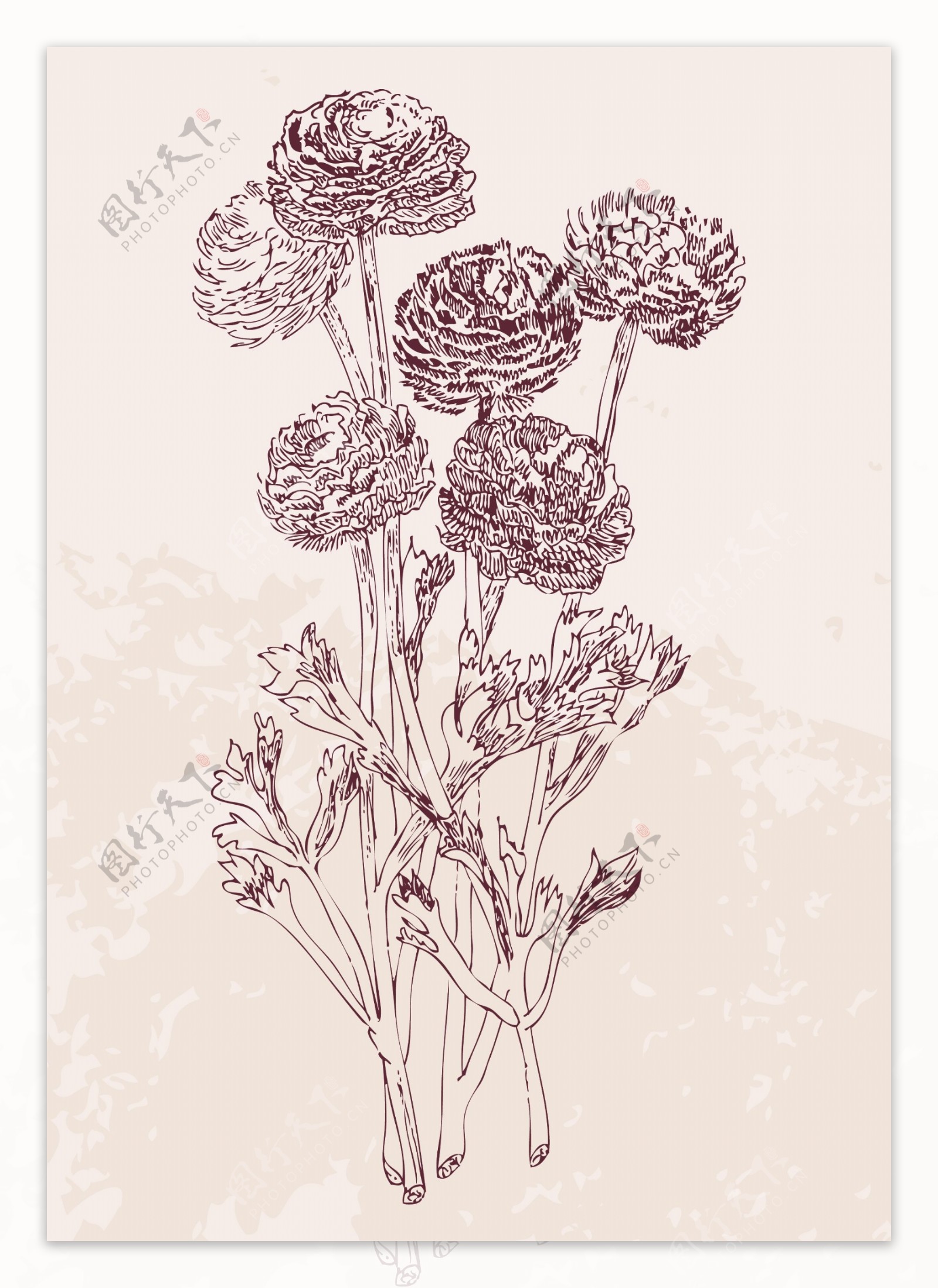 手绘花卉矢量素材图片