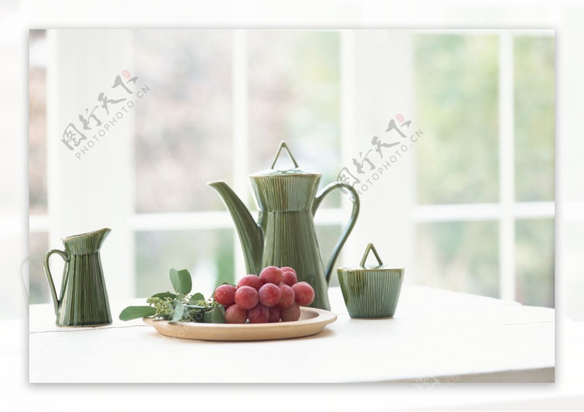 室内植物摄影艺术图片